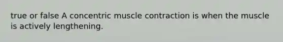 true or false A concentric muscle contraction is when the muscle is actively lengthening.