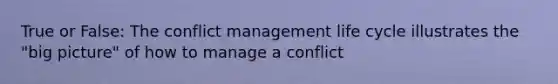 True or False: The conflict management life cycle illustrates the "big picture" of how to manage a conflict