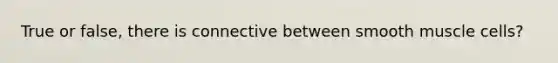 True or false, there is connective between smooth muscle cells?