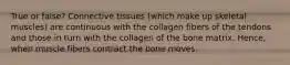 True or false? Connective tissues (which make up skeletal muscles) are continuous with the collagen fibers of the tendons and those in turn with the collagen of the bone matrix. Hence, when muscle fibers contract the bone moves.