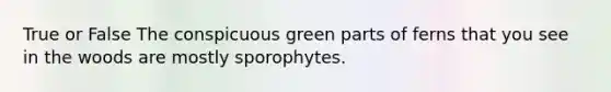 True or False The conspicuous green parts of ferns that you see in the woods are mostly sporophytes.