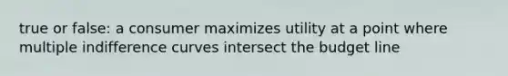 true or false: a consumer maximizes utility at a point where multiple indifference curves intersect the budget line