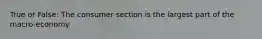 True or False: The consumer section is the largest part of the macro-economy