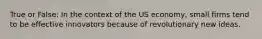 True or False: In the context of the US economy, small firms tend to be effective innovators because of revolutionary new ideas.