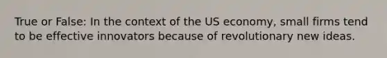 True or False: In the context of the US economy, small firms tend to be effective innovators because of revolutionary new ideas.