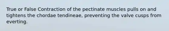 True or False Contraction of the pectinate muscles pulls on and tightens the chordae tendineae, preventing the valve cusps from everting.