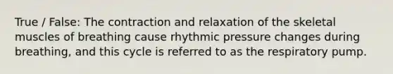 True / False: The contraction and relaxation of the skeletal muscles of breathing cause rhythmic pressure changes during breathing, and this cycle is referred to as the respiratory pump.