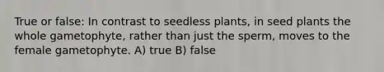 True or false: In contrast to seedless plants, in seed plants the whole gametophyte, rather than just the sperm, moves to the female gametophyte. A) true B) false