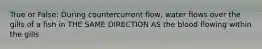 True or False: During countercurrent flow, water flows over the gills of a fish in THE SAME DIRECTION AS the blood flowing within the gills