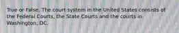 True or False. The court system in the United States consists of the Federal Courts, the State Courts and the courts in Washington, DC.