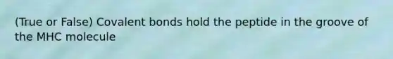 (True or False) <a href='https://www.questionai.com/knowledge/kWply8IKUM-covalent-bonds' class='anchor-knowledge'>covalent bonds</a> hold the peptide in the groove of the MHC molecule