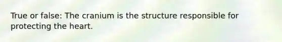 True or false: The cranium is the structure responsible for protecting <a href='https://www.questionai.com/knowledge/kya8ocqc6o-the-heart' class='anchor-knowledge'>the heart</a>.