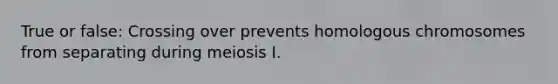 True or false: Crossing over prevents homologous chromosomes from separating during meiosis I.