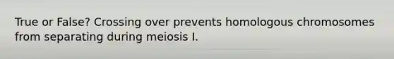 True or False? Crossing over prevents homologous chromosomes from separating during meiosis I.