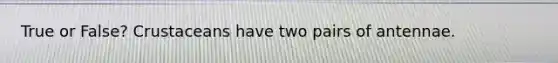 True or False? Crustaceans have two pairs of antennae.