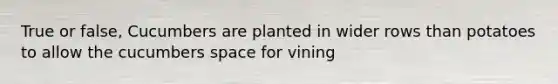 True or false, Cucumbers are planted in wider rows than potatoes to allow the cucumbers space for vining