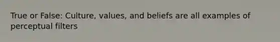 True or False: Culture, values, and beliefs are all examples of perceptual filters