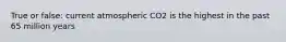 True or false: current atmospheric CO2 is the highest in the past 65 million years