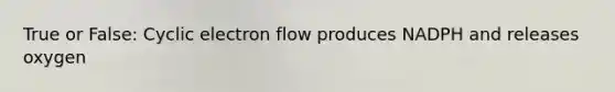 True or False: Cyclic electron flow produces NADPH and releases oxygen