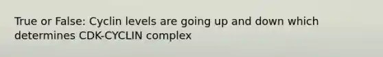 True or False: Cyclin levels are going up and down which determines CDK-CYCLIN complex