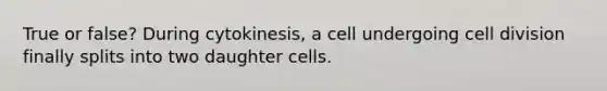 True or false? During cytokinesis, a cell undergoing cell division finally splits into two daughter cells.