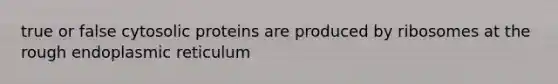 true or false cytosolic proteins are produced by ribosomes at the rough endoplasmic reticulum