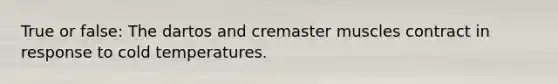 True or false: The dartos and cremaster muscles contract in response to cold temperatures.