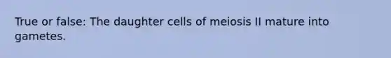 True or false: The daughter cells of meiosis II mature into gametes.