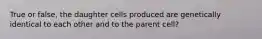 True or false, the daughter cells produced are genetically identical to each other and to the parent cell?