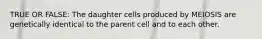 TRUE OR FALSE: The daughter cells produced by MEIOSIS are genetically identical to the parent cell and to each other.