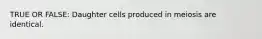 TRUE OR FALSE: Daughter cells produced in meiosis are identical.