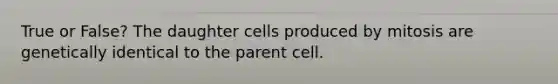 True or False? The daughter cells produced by mitosis are genetically identical to the parent cell.