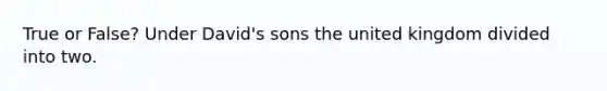 True or False? Under David's sons the united kingdom divided into two.