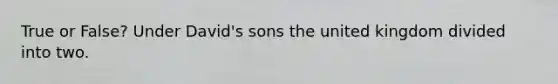 True or False? Under David's sons the united kingdom divided into two.