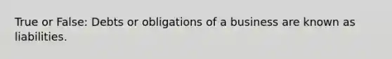 True or False: Debts or obligations of a business are known as liabilities.