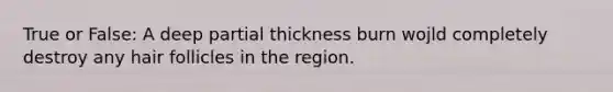 True or False: A deep partial thickness burn wojld completely destroy any hair follicles in the region.