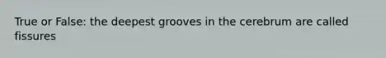 True or False: the deepest grooves in the cerebrum are called fissures