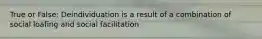 True or False: Deindividuation is a result of a combination of social loafing and social facilitation