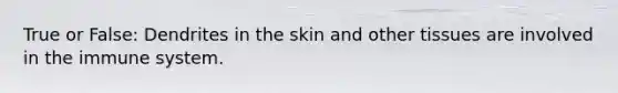 True or False: Dendrites in the skin and other tissues are involved in the immune system.