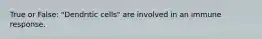 True or False: "Dendritic cells" are involved in an immune response.