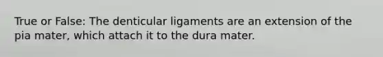 True or False: The denticular ligaments are an extension of the pia mater, which attach it to the dura mater.