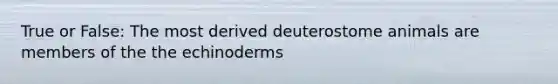 True or False: The most derived deuterostome animals are members of the the echinoderms