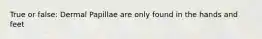 True or false: Dermal Papillae are only found in the hands and feet