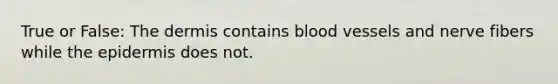 True or False: The dermis contains blood vessels and nerve fibers while the epidermis does not.