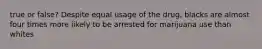 true or false? Despite equal usage of the drug, blacks are almost four times more likely to be arrested for marijuana use than whites