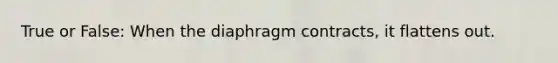 True or False: When the diaphragm contracts, it flattens out.