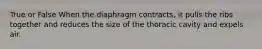 True or False When the diaphragm contracts, it pulls the ribs together and reduces the size of the thoracic cavity and expels air.