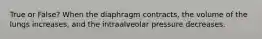 True or False? When the diaphragm contracts, the volume of the lungs increases, and the intraalveolar pressure decreases.