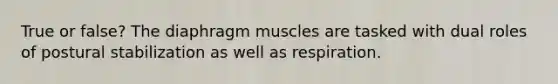 True or false? The diaphragm muscles are tasked with dual roles of postural stabilization as well as respiration.