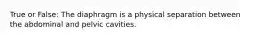 True or False: The diaphragm is a physical separation between the abdominal and pelvic cavities.